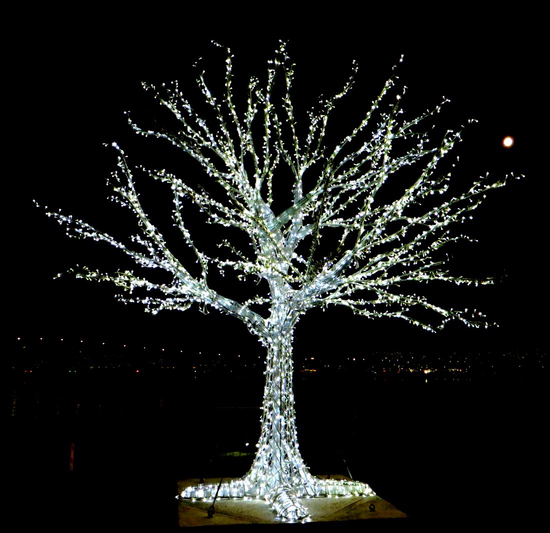 Tree and moon in Tromso